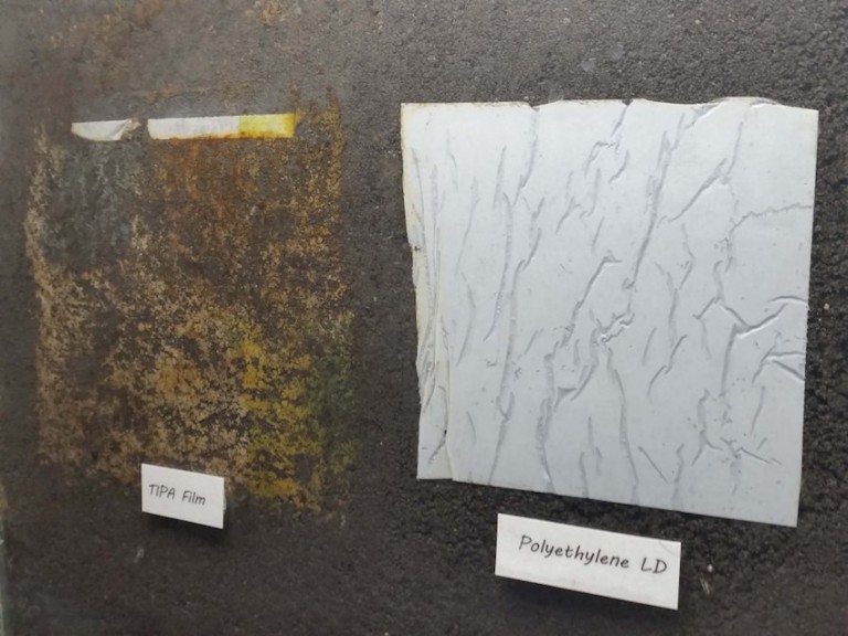 TIPA Launches Sustainable Packaging for the Food Industry